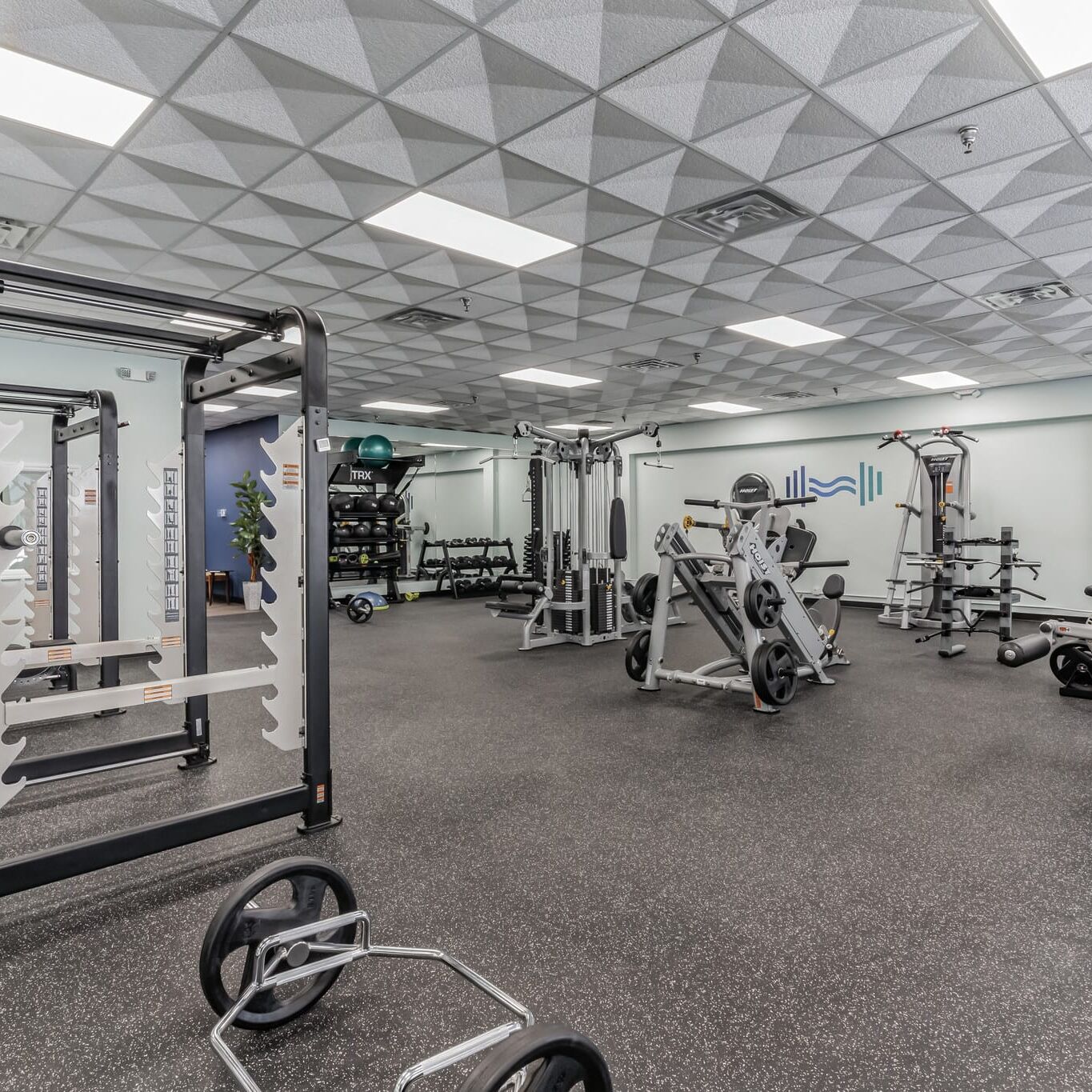 Front_by_Freedoms - LeeAnn Moore