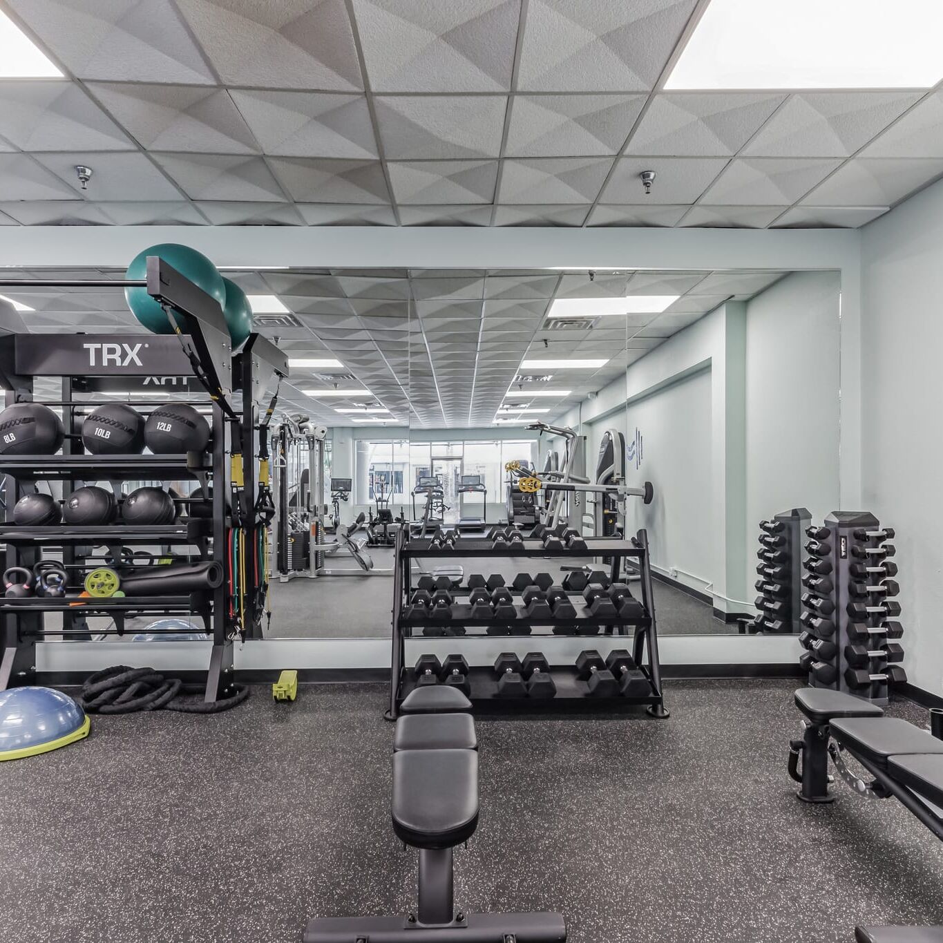 TRX_Dumbbells2 - LeeAnn Moore